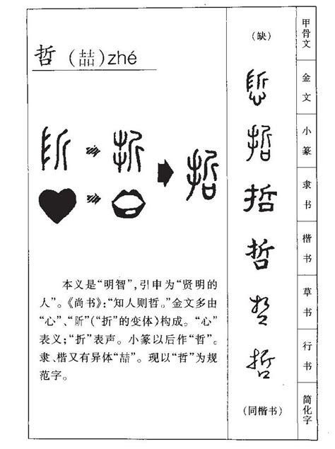 哲五行|哲字五行属什么